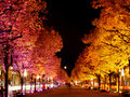 Festival of Lights im Herbst Unter den Linden