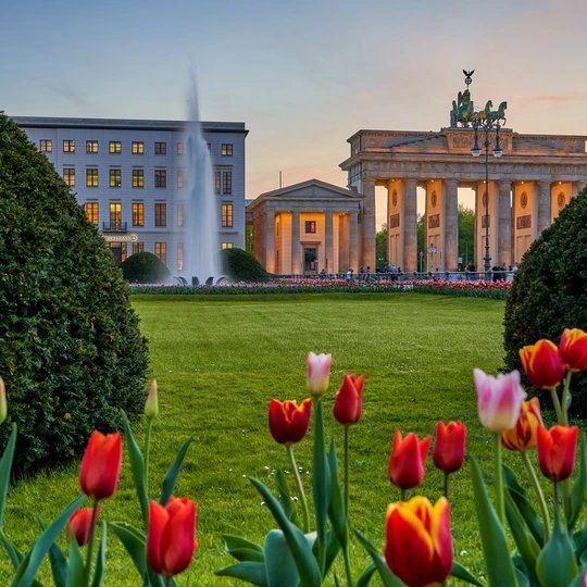 Berlin, Blick auf das beleuchtete Brandenburger Tor am Pariser Platz mit einem Springbrunnen und schönen bunten Tulpen im Vordergrund im Frühling bei Sonnenuntergang BerlinBrandenburger Tor am Pariser Platz mit einem Springbrunnen und schönen bunten Tulpen im Vordergrund im Frühling bei Sonnenuntergang