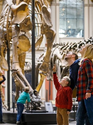 Museum für Naturkunde Berlin Familie im Museum für Naturkunde Berlin