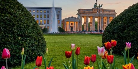 Berlin, Blick auf das beleuchtete Brandenburger Tor am Pariser Platz mit einem Springbrunnen und schönen bunten Tulpen im Vordergrund im Frühling bei Sonnenuntergang BerlinBrandenburger Tor am Pariser Platz mit einem Springbrunnen und schönen bunten Tulpen im Vordergrund im Frühling bei Sonnenuntergang