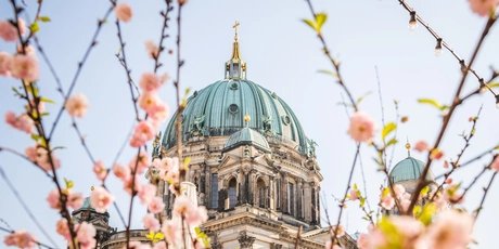 Berliner Dom im Frühling Berliner Dom im Frühling