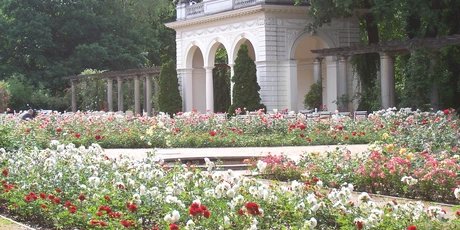 Bürgerpark in Pankow: Flowerbed and Pavillon in spring Bürgerpark in Pankow: Flowerbed and Pavillon in spring