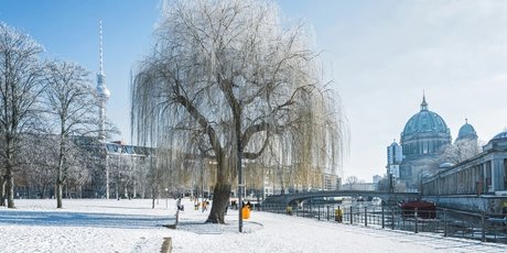 snowy park in central Berlin with tv-tower and cathedral in the background