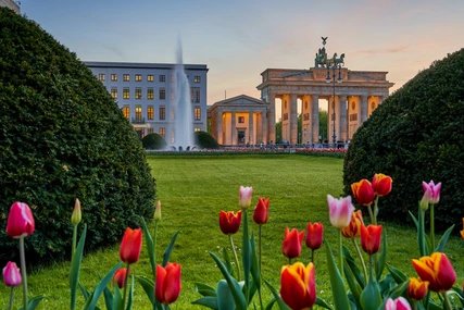 Berlin, Blick auf das beleuchtete Brandenburger Tor am Pariser Platz mit einem Springbrunnen und schönen bunten Tulpen im Vordergrund im Frühling bei Sonnenuntergang BerlinBrandenburger Tor am Pariser Platz mit einem Springbrunnen und schönen bunten Tulpen im Vordergrund im Frühling bei Sonnenuntergang
