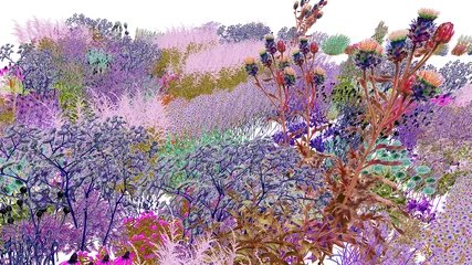 LAS Pollinator Pathmaker