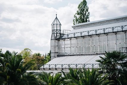 Botanischer Garten und Botanisches Museum Berlin-Dahlem