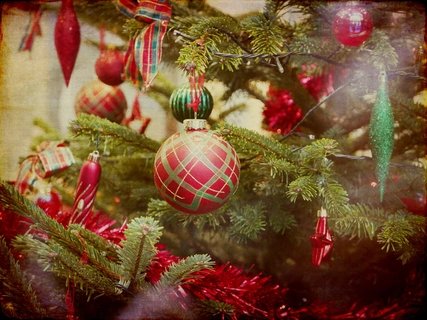 Christmas tree Christmas tree