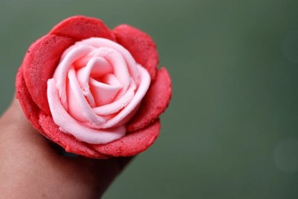 Ice creme in form of a rose Ice creme in form of a rose