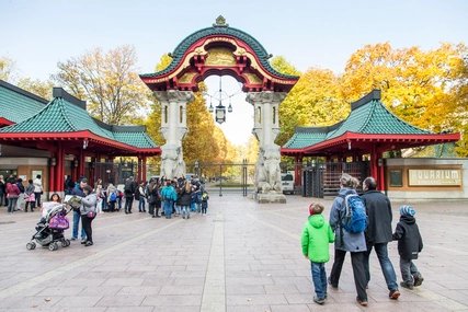 Das Elefantentor des Zoologischen Gartens Der Eingang zum Zoologischen Garten in Berlin