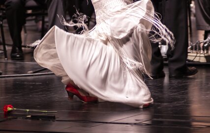Flamenco Tanzshow