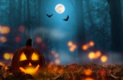 Pumpkin in Halloween Forest Pumpkin in Halloween Forest