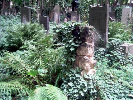 Jüdischer Friedhof in der Schönhauser Allee Überwucherte Grabsteine auf dem Jüdischer Friedhof in der Schönhauser Allee