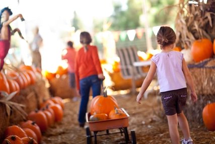 Children with pumpkins Children with pumpkins