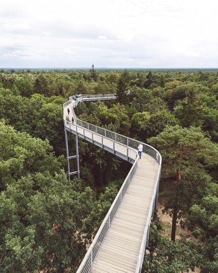 Beelitz Heilstätten treetop path