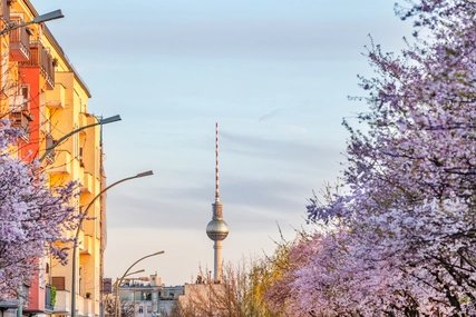 Blooming trees  Springtime in Berlin: Street with blooming trees