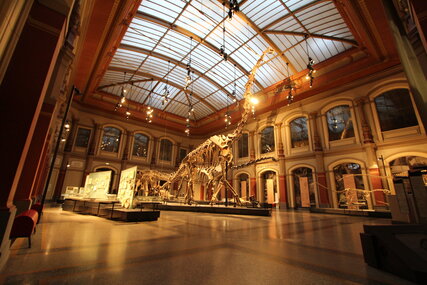 Brachiosaure dans le Monde des Dinosaures du Musée d’histoire naturelle de Berlin