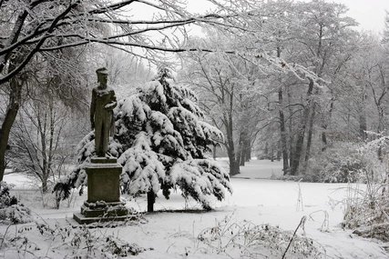 Der Tiergarten im Winter