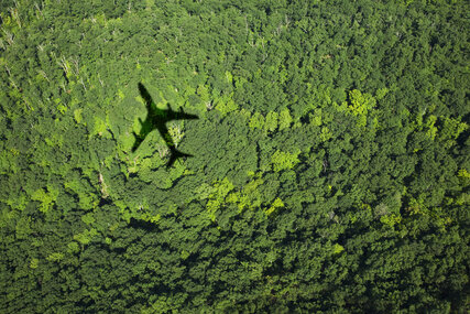 Schatten eines Flugzeugs über grünen Wäldern