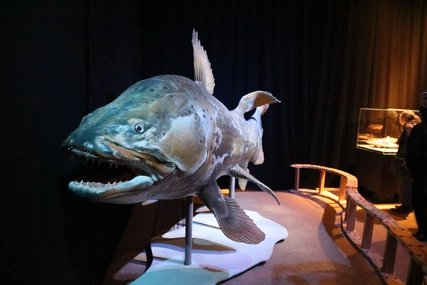Spinosaurus Eröffnung 08.02.2016