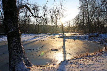 Foto: Teich im Wuhletal im Winter