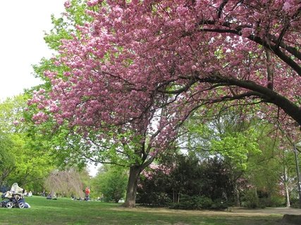 Frühling in Berlin