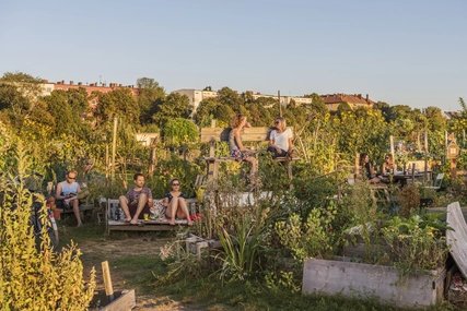 An afternoon at Tempelhofer Feld Tempelhofer Feld: Park in Berlin