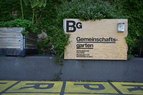 Foto: Ein Holz-Schild trägt die Aufschrift „Gemeinschaftsgarten“ und das Logo der Berlinischen Galerie. Um das Schild herum wachsen Pflanzen. Links daneben ist ein weiterer Pflanzkübel zu sehen.