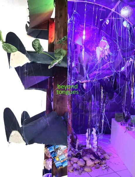 beyond tongues beyond tongues