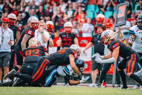 Veranstaltungen in Berlin: Paris Musketeers @ Berlin Thunder - American Football