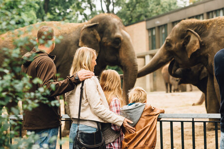 Eine Familie besucht den Zoo Berlin