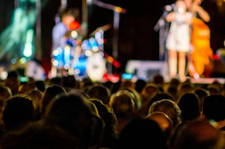 Publikum beim Konzert