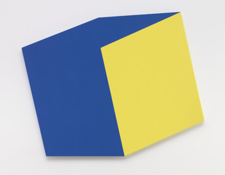 Ellsworth Kelly Blue Yellow