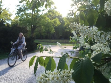 Frühling im Tiergarten unterwegs mit dem Fahrrad in Berlin
