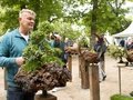 Gartenträume auf der Rennbahn Hoppegarten Gartenträume auf der Rennbahn Hoppegarten
