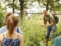 Wildkräuterwanderungen in Berlin Wildkräuterwanderungen in Berlin