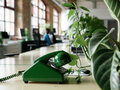 Ein grünes analoges Telefon mit Hörer steht neben einer Gummipflanze