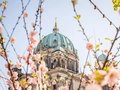 Berliner Dom im Frühling Berliner Dom im Frühling