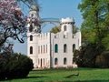 Pfaueninsel Castle on Peacock Island Flowering tulip magnolias at Schloss Pfaueninsel Castle in Berlin