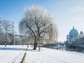 snowy park in central Berlin with tv-tower and cathedral in the background