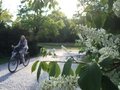 Frühling im Tiergarten unterwegs mit dem Fahrrad in Berlin