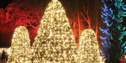 Christmas Garden Berlin im Botanischen Garten Christmas Garden Berlin im Botanischen Garten