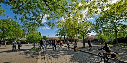 Bicicletas atravesando el Mauerpark  Bicicletas atravesando el Mauerpark