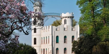 Pfaueninsel Castle on Peacock Island Flowering tulip magnolias at Schloss Pfaueninsel Castle in Berlin