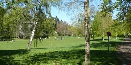 Ballspielwiese im Volkspark Rehberge Ballspielwiese im Volkspark Rehberge