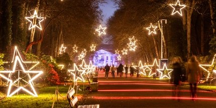 Weihnachten im Tierpark, Friedrichsfelde Sternenlichter bei Weihnachten im Tierpark, Friedrichsfelde