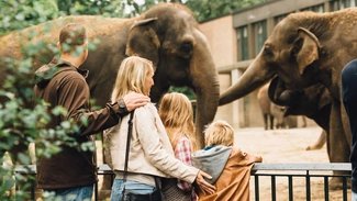 junge Familie besucht den Zoo Berlin