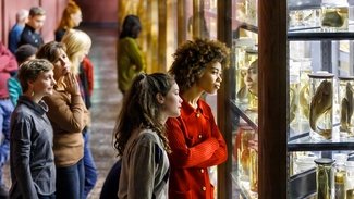 Museum für Naturkunde Berlin Besucherinnen im Museum für Naturkunde Berlin