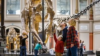Museum für Naturkunde Berlin Familie im Museum für Naturkunde Berlin