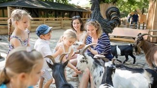 Streichelzoo im Zoo Berlin Streichelzoo im Zoo Berlin
