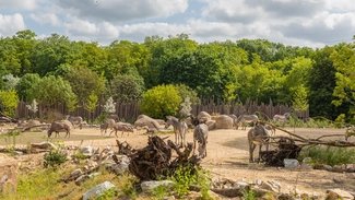 Tierpark Berlin